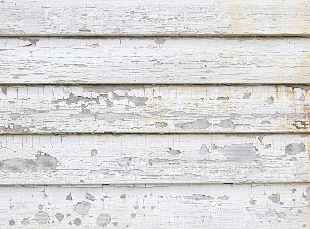 Best Fiber Cement Siding Installation  in Clarksville, TN